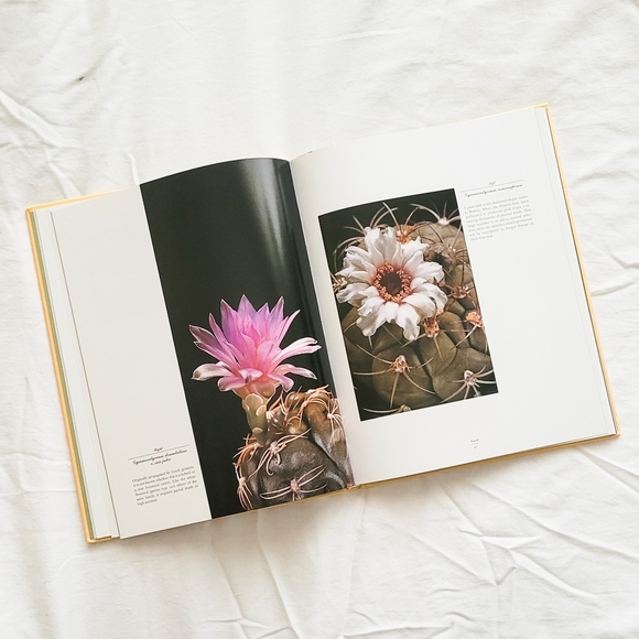 Cacti Book - Picture 2 of 4
